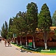 Аллея кипарисов